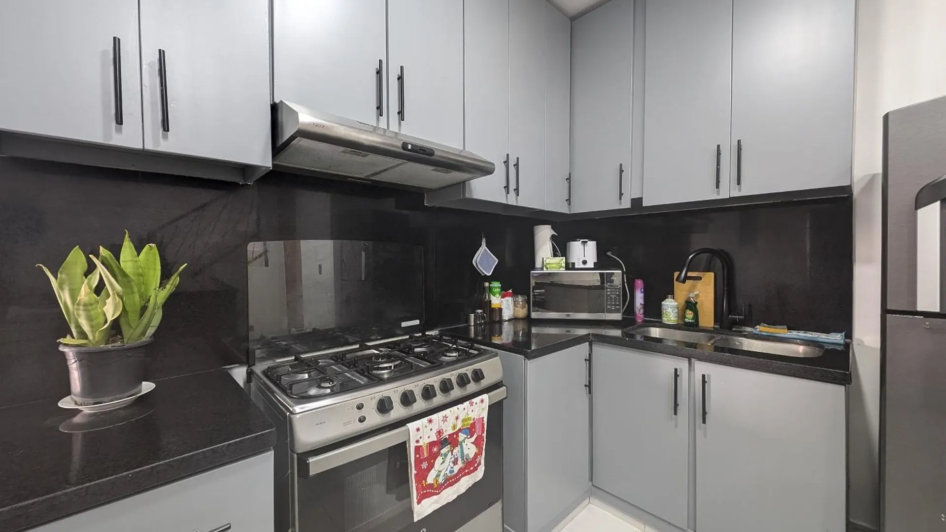 Modern Penthouse With Private Rooftop, Free Parking & Wifi 普拉塔港 0*,